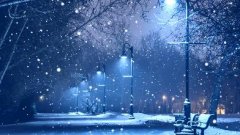 Snow in Night